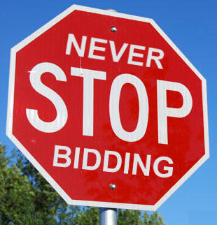 never-stop-bidding